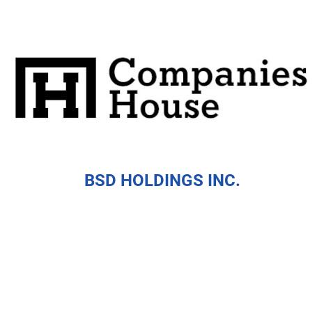 Bsd Holdings Corp.,Bryan Christopher N. Que Married To Annabelle L. Que,Deborah Trisha N. Que,Wos Holdings Corp. And Springhill Holdings Corp. logo