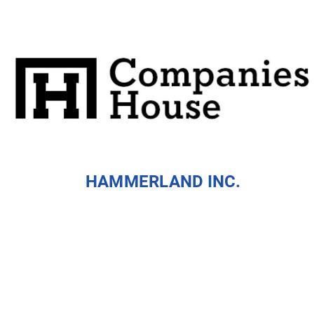 Hammercon, Inc. / Hammerland, Inc. logo