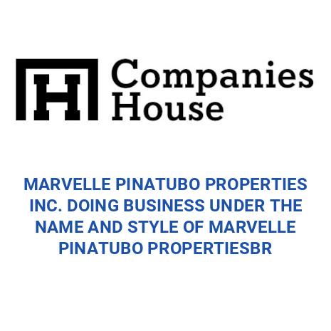 MARVELLE PINATUBO PROPERTIES INC. DOING BUSINESS UNDER THE NAME AND ...