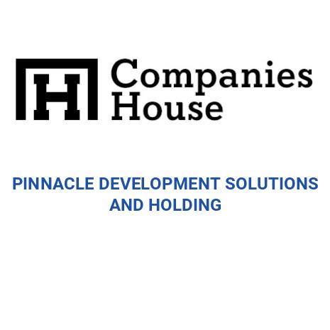 PINNACLE DEVELOPMENT SOLUTIONS AND HOLDING | Companies House Registry ...
