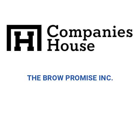 Promise Inc. Thread Driver THE BROW PROMISE INC. | Companies House Registry Search